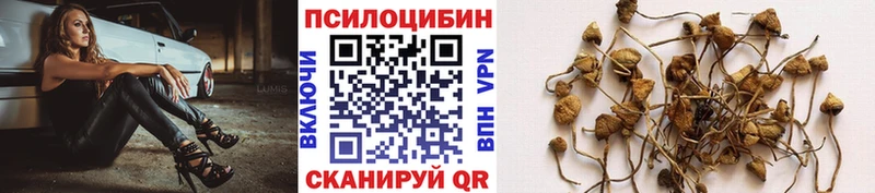 купить   сайты даркнета клад  Галлюциногенные грибы Cubensis  Холм 