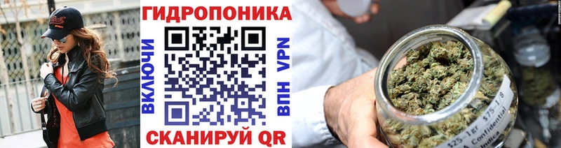 где можно купить наркотик  нарко площадка состав  Шишки марихуана сатива  Холм 